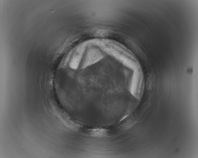 X0000111580363200908061331