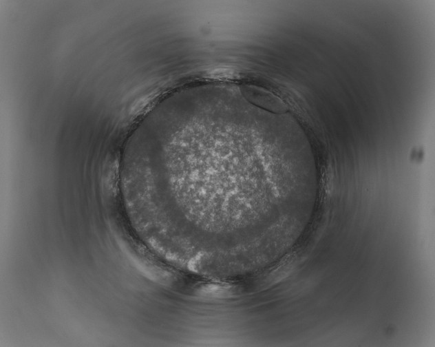 X0000111580364200908061331