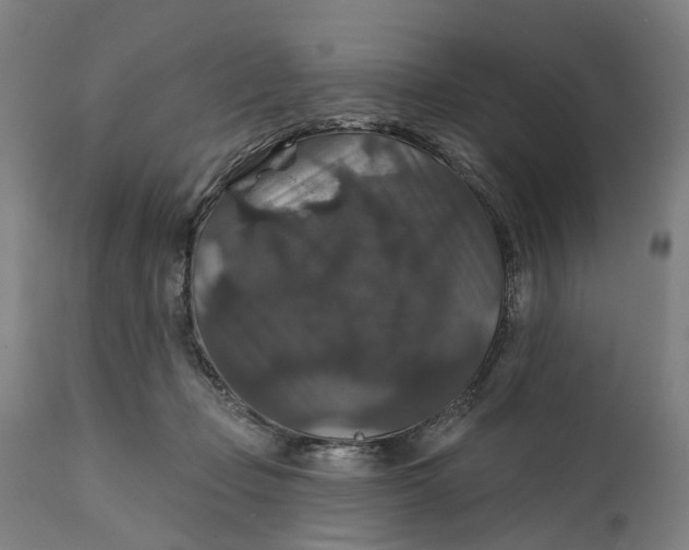 X0000111580365200908061331