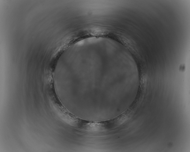 X0000111580367200908061331