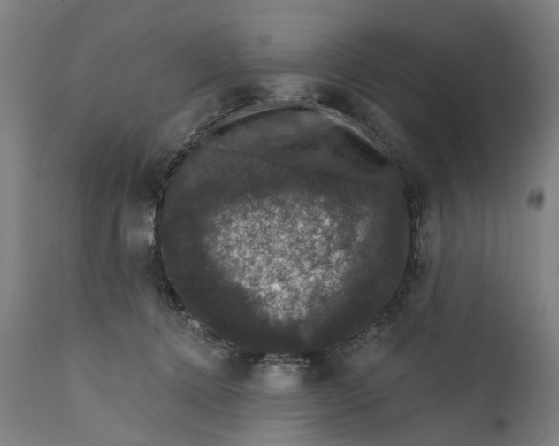 X0000111580368200908061331