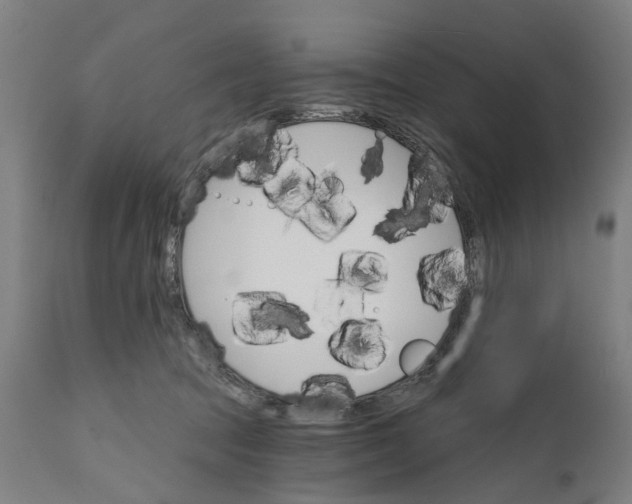 X0000111580369200908061331