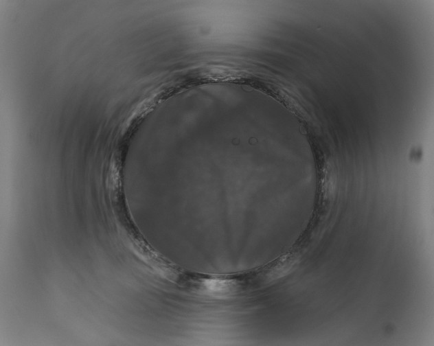 X0000111580371200908061331