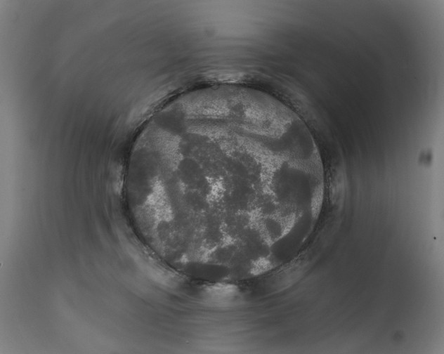 X0000111580374200908061331