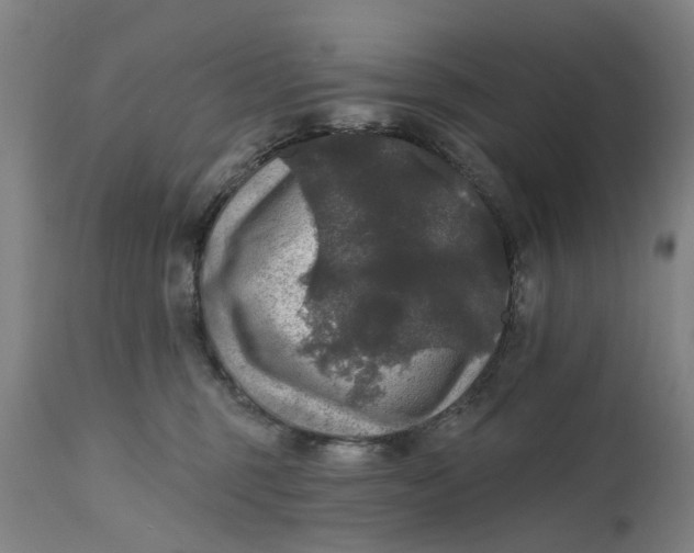 X0000111580375200908061331