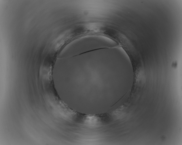 X0000111580376200908061331