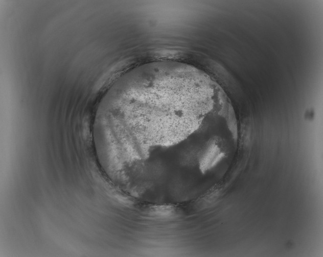 X0000111580377200908061331