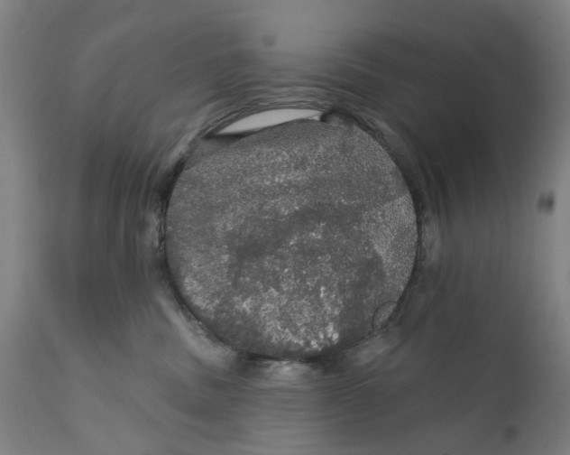 X0000111580379200908061331