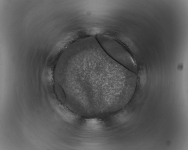 X0000111580380200908061331