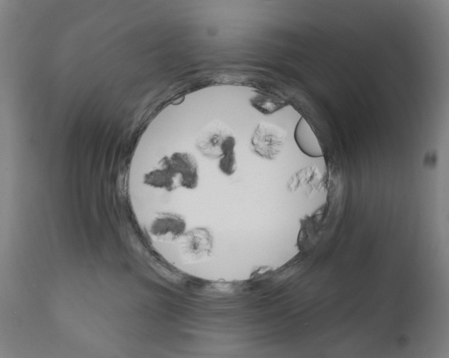 X0000111580381200908061331