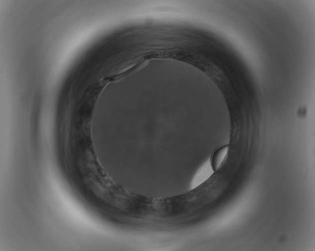 X0000111580383200908061331