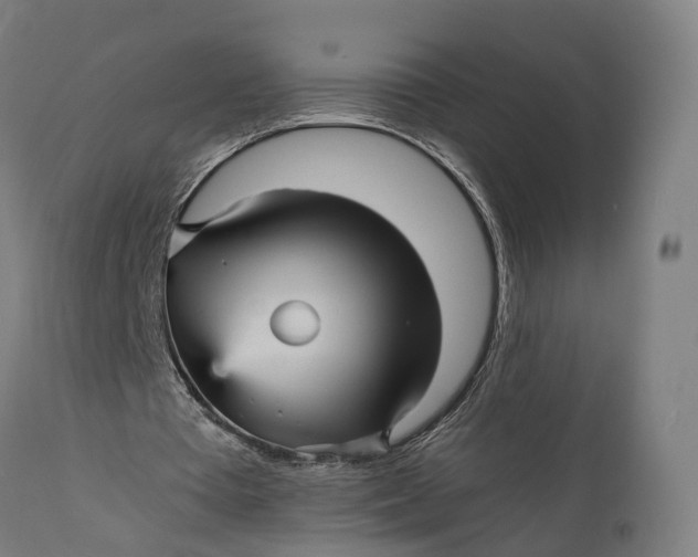 X0000111580385200908061331