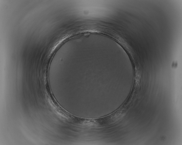 X0000111580386200908061331