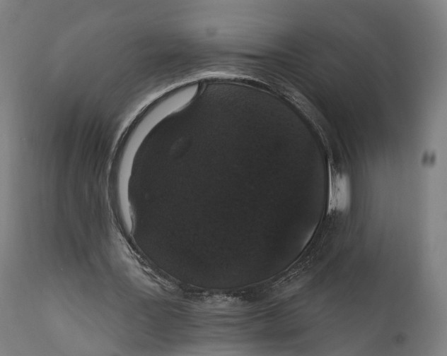 X0000111580387200908061330