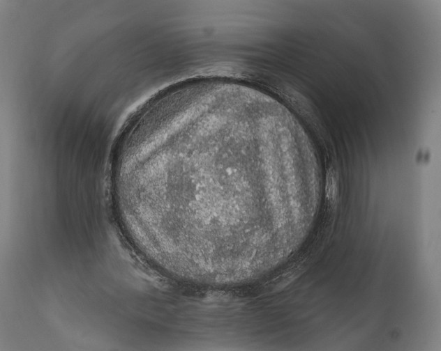 X0000111580388200908061330