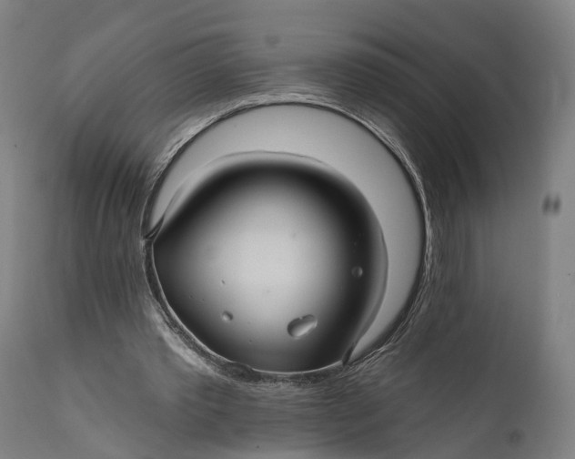 X0000111580389200908061330