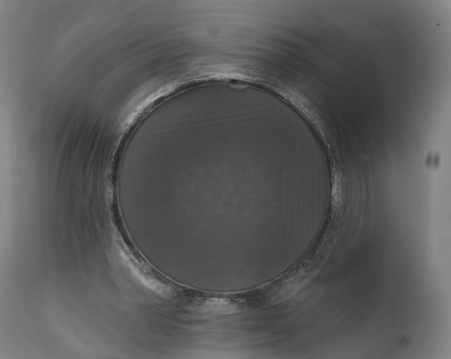 X0000111580390200908061330