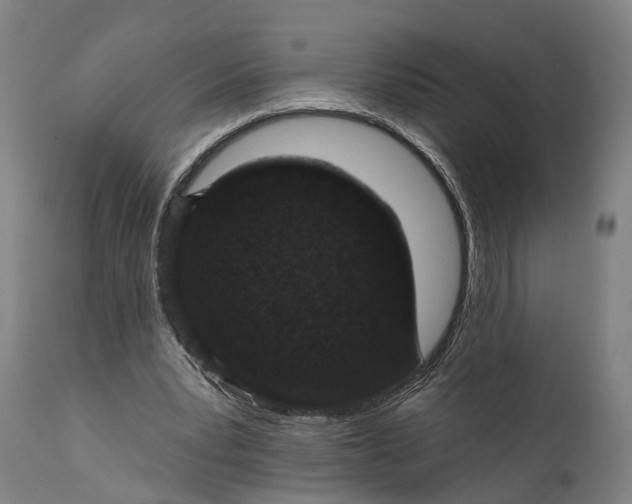 X0000111580391200908061330