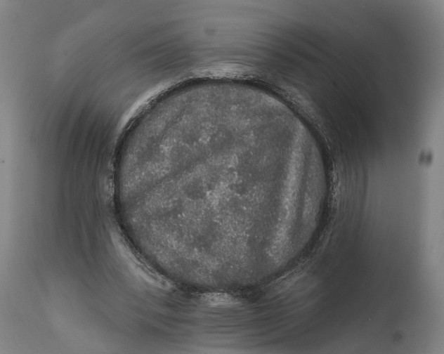 X0000111580392200908061330