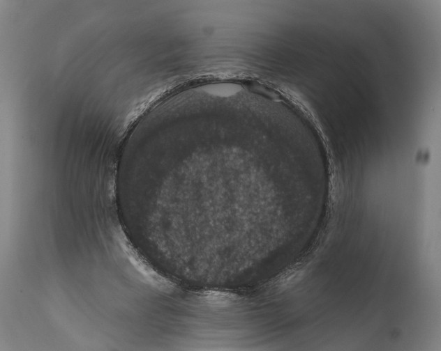 X0000111580393200908061330