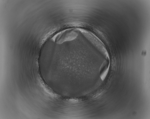 X0000111580394200908061330