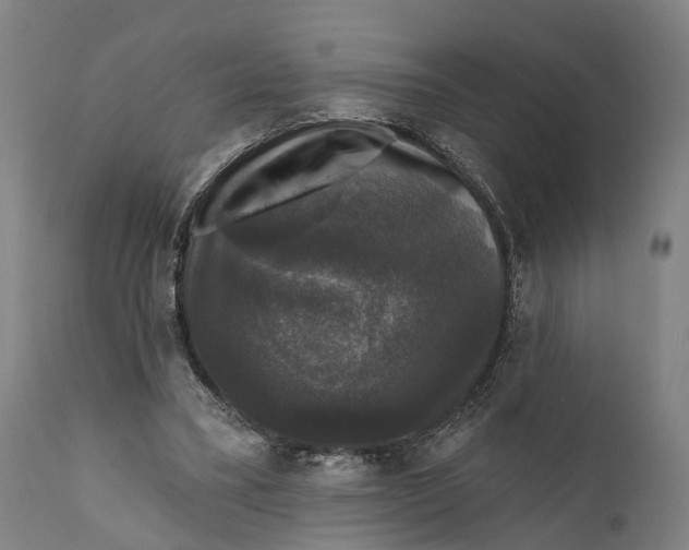 X0000111580395200908061330