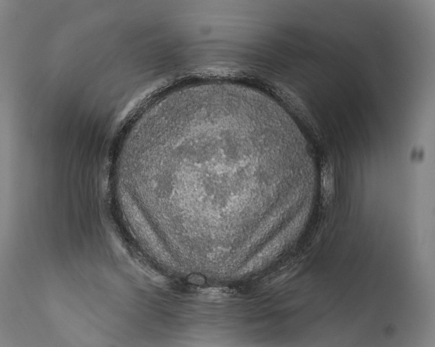 X0000111580396200908061330