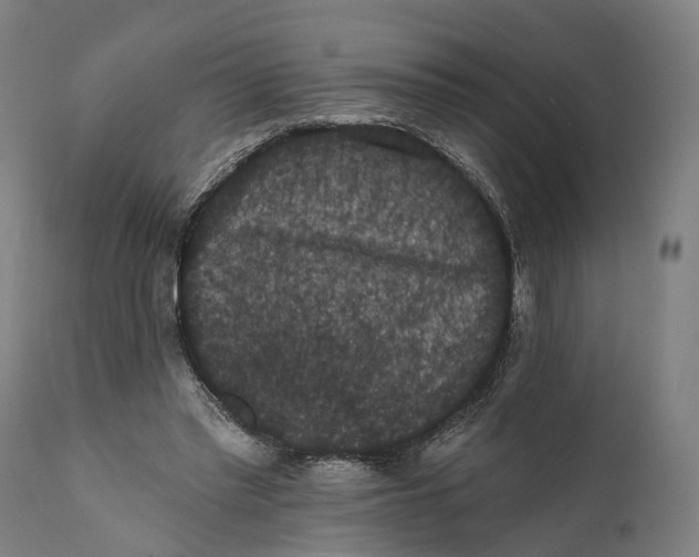 X0000111580397200908061330