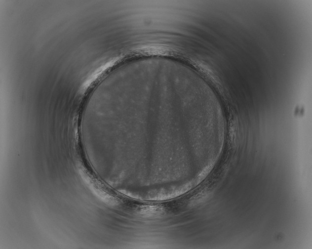 X0000111580398200908061330