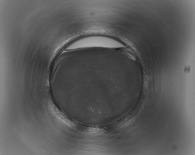 X0000111580399200908061330