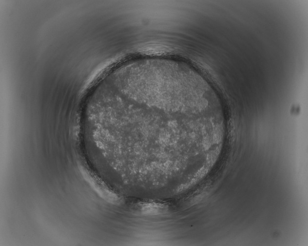 X0000111580400200908061330