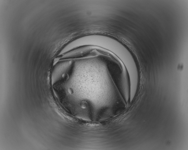 X0000111580401200908061330