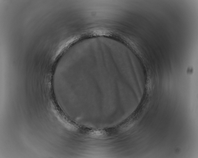 X0000111580402200908061330