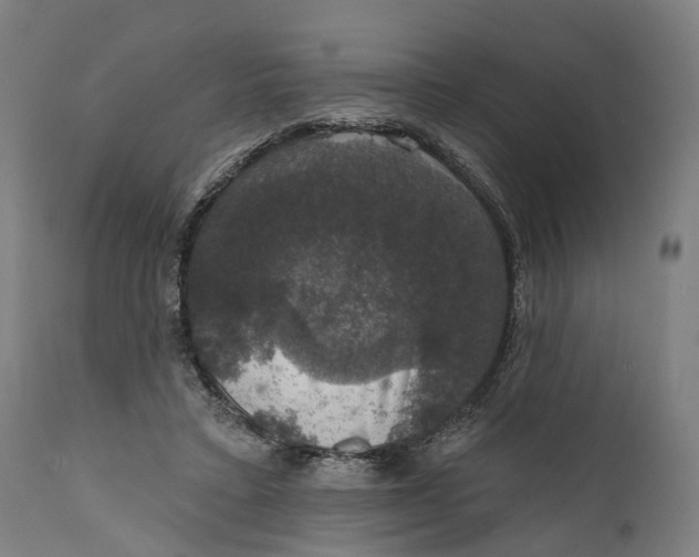 X0000111580403200908061330