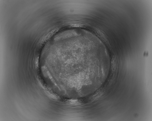 X0000111580406200908061330