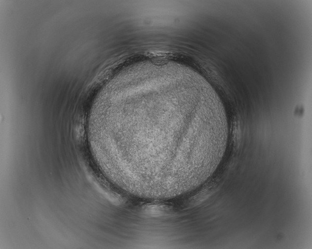 X0000111580408200908061330