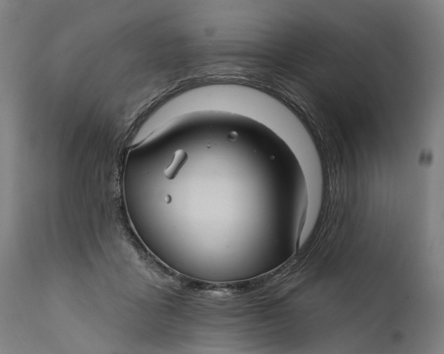 X0000111580411200908061330