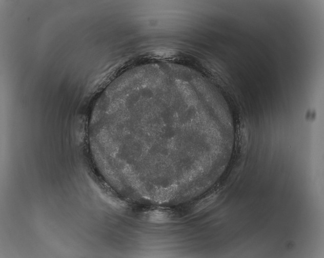 X0000111580412200908061330