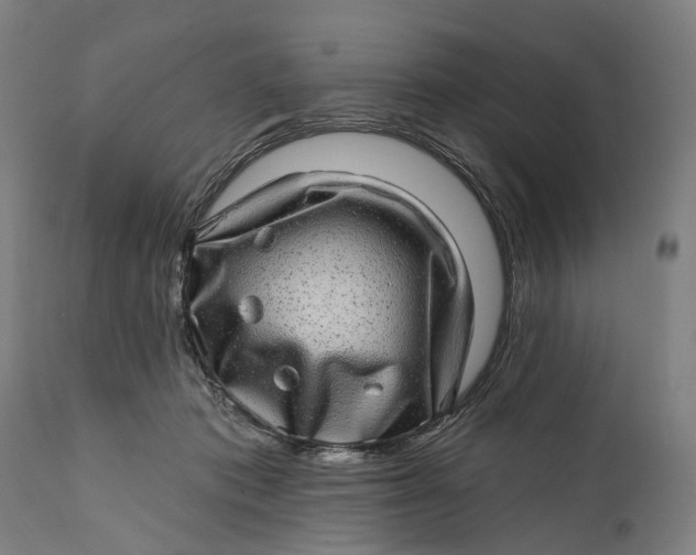 X0000111580413200908061330