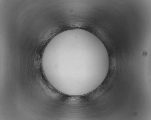 X0000111580414200908061330