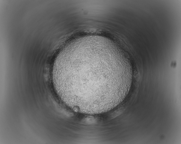 X0000111580416200908061330