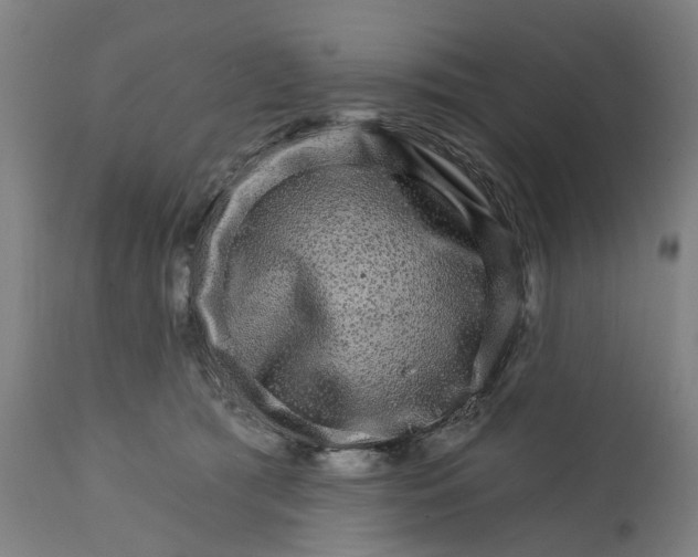 X0000111580417200908061330