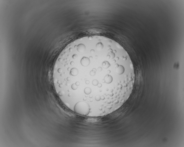 X0000111580418200908061330