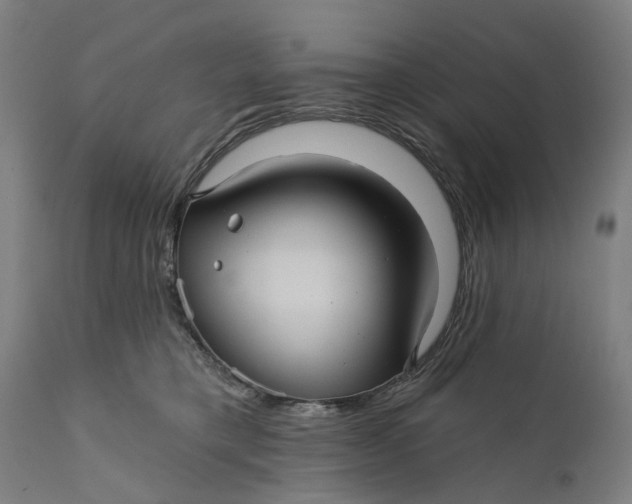 X0000111580421200908061330