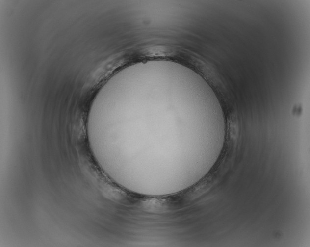 X0000111580422200908061330