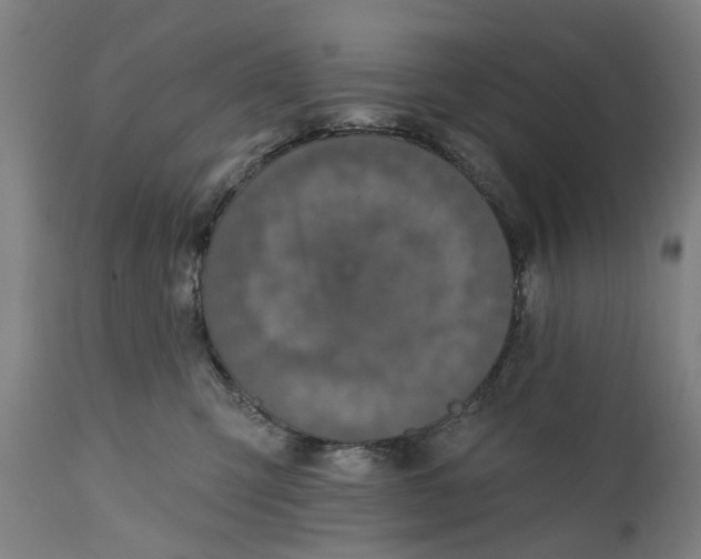 X0000111580423200908061330