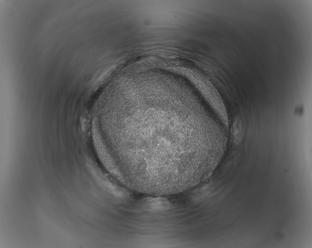 X0000111580424200908061330