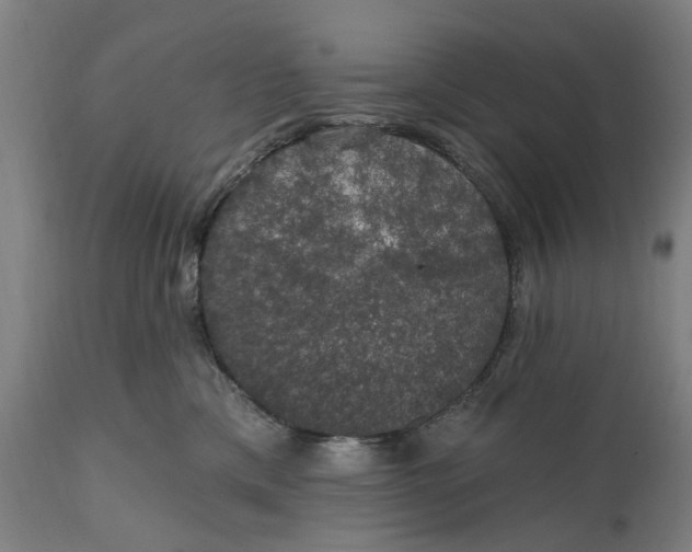 X0000111580425200908061330