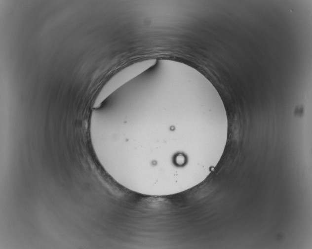 X0000111580427200908061330