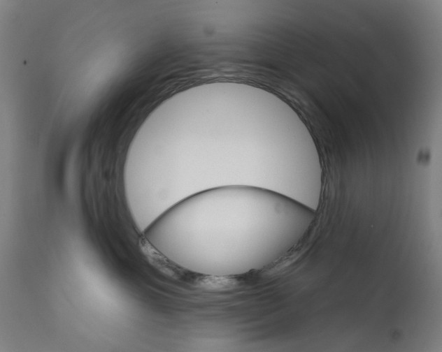 X0000111580429200908061330